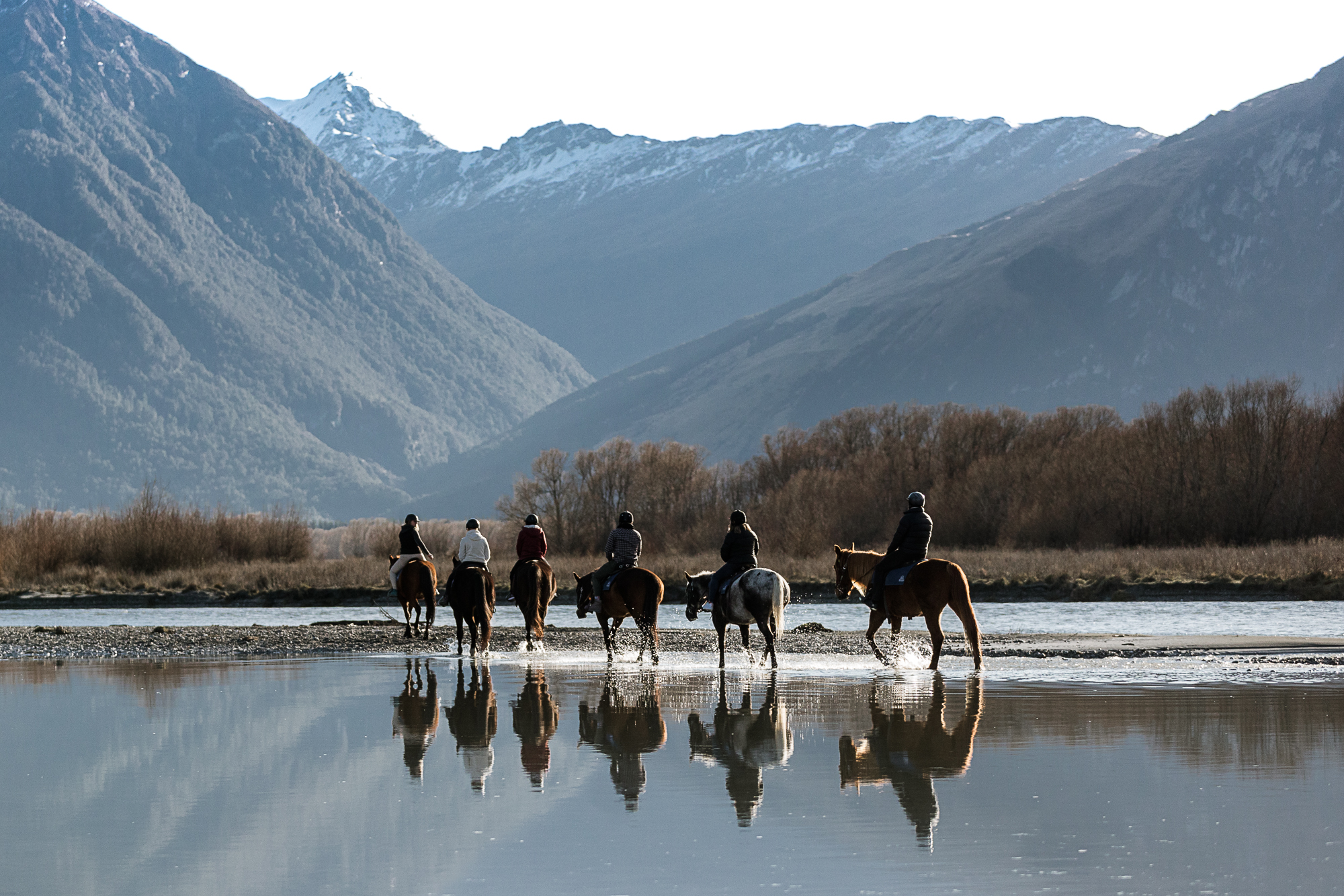 High Country Horses