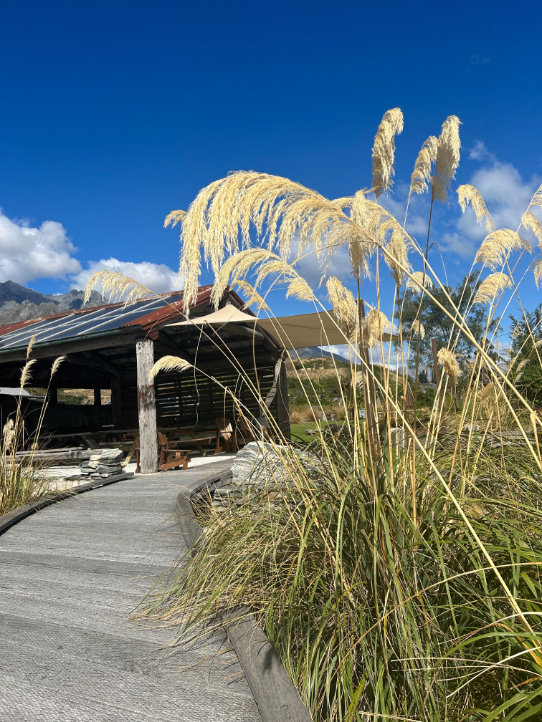 Alpine Skies at The Headwaters Eco Lodge