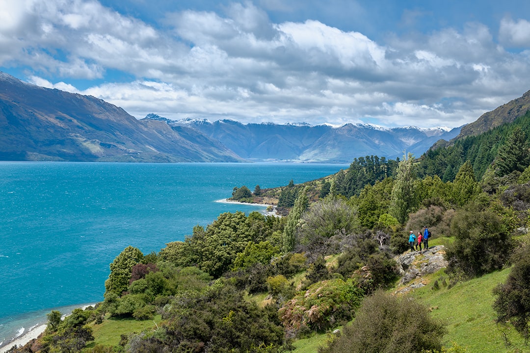 Fab 4 Walk- Adventures in Paradise