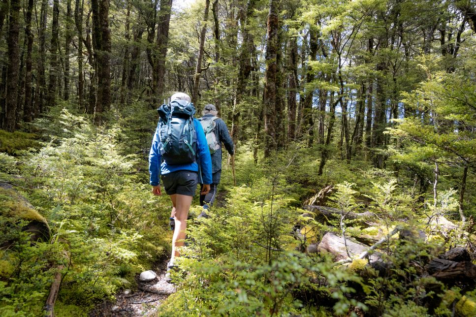 Hike the Routeburn - Adventures in Paradise