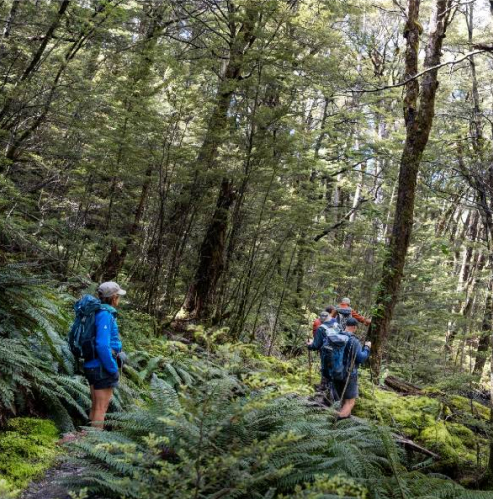 Walking the Routeburn Walking Track