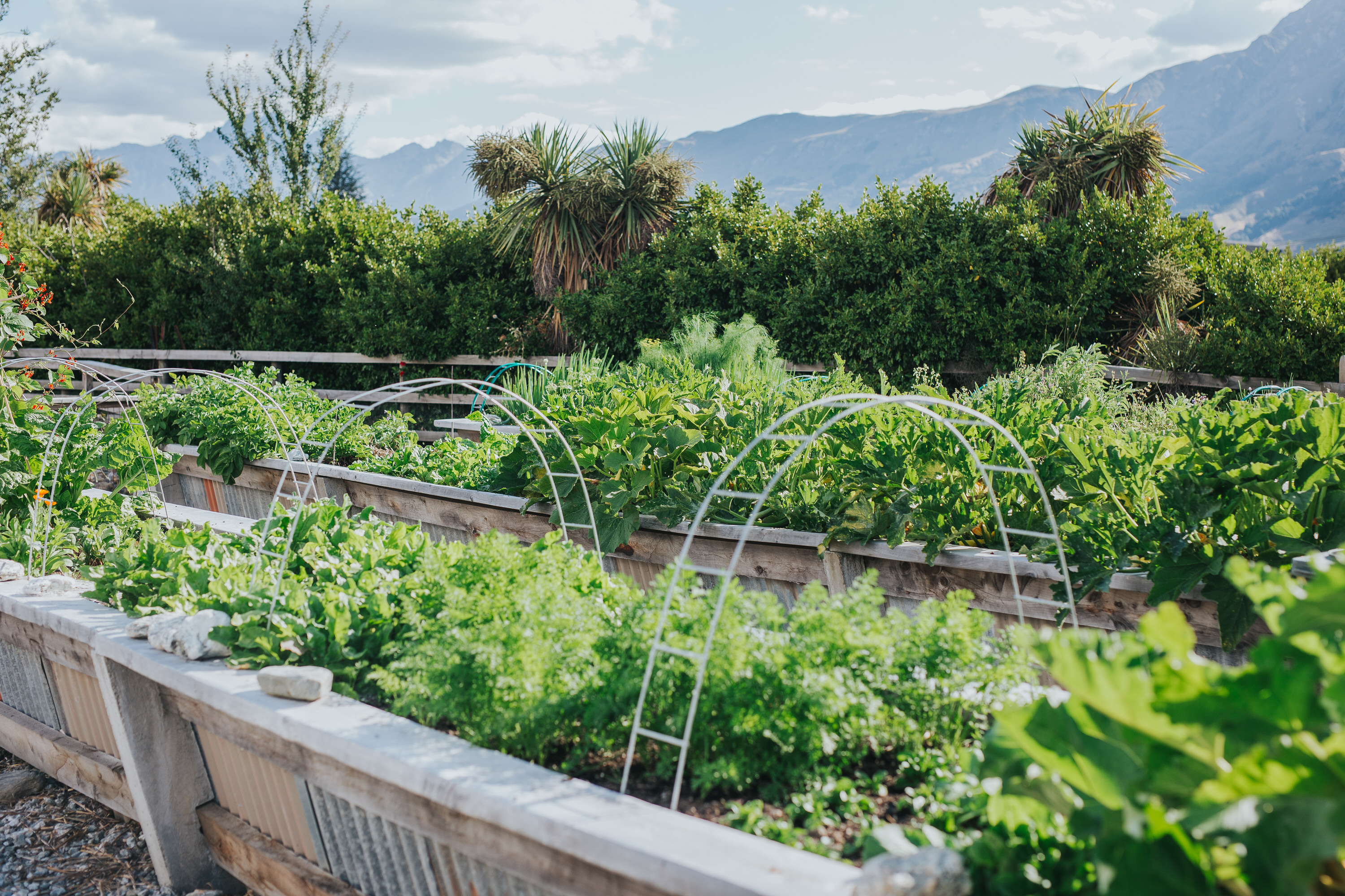 Kitchen Garden at The Headwaters Eco Lodge