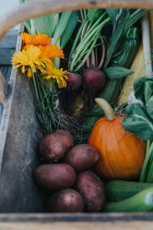 Kitchen Garden Produce at The Headwaters Eco Lodge