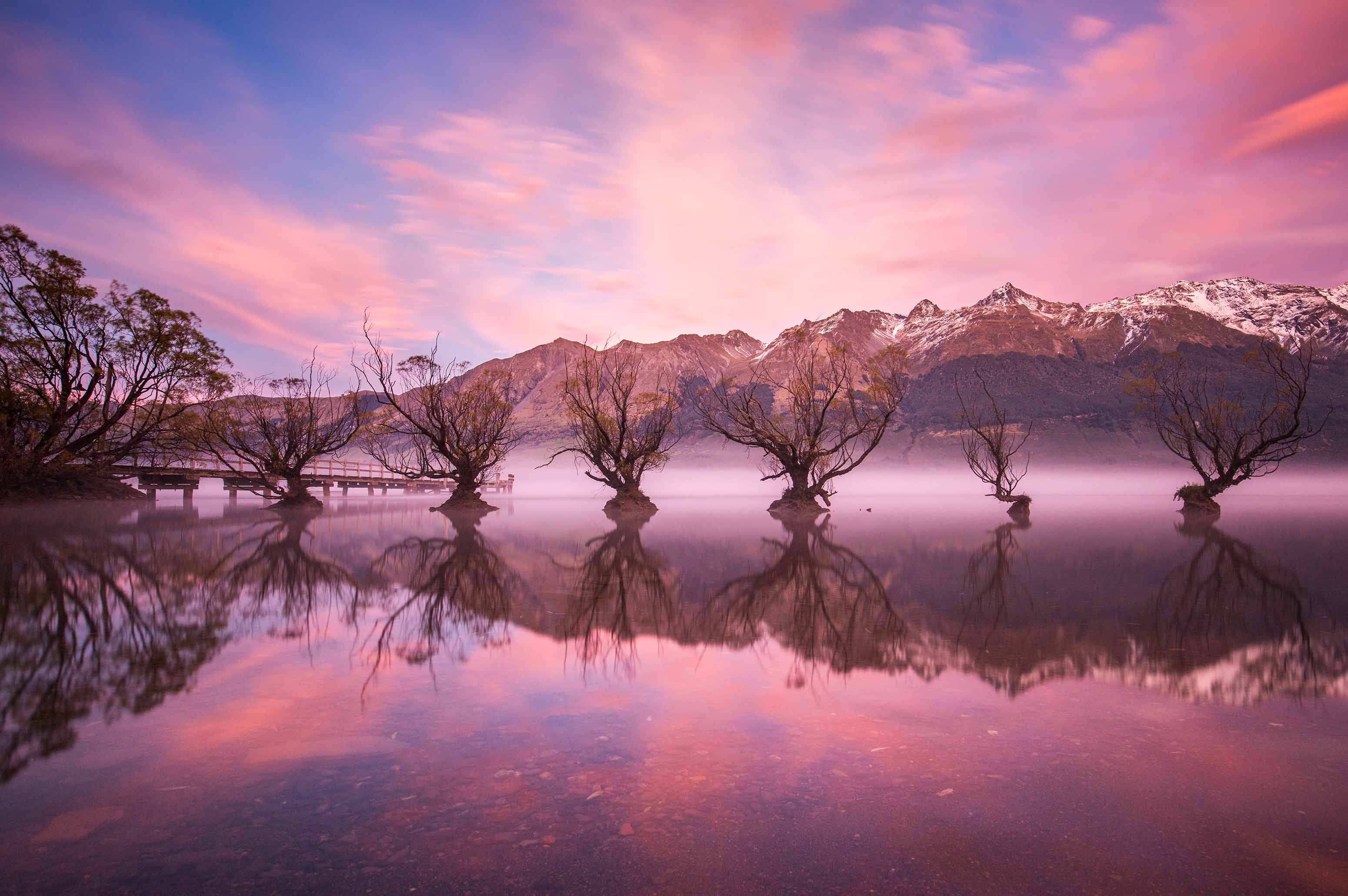 Glenorchy Willow Trees